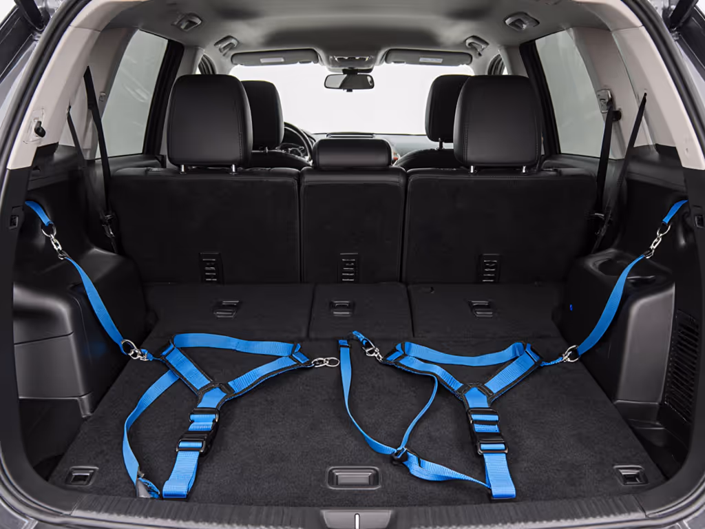 multi_dog_tether_configuration