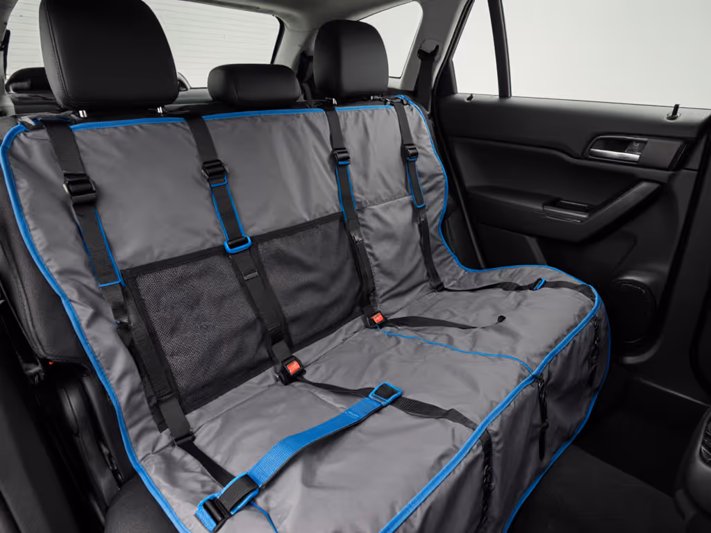 vehicle_interior_with_properly_installed_dog_travel_gear