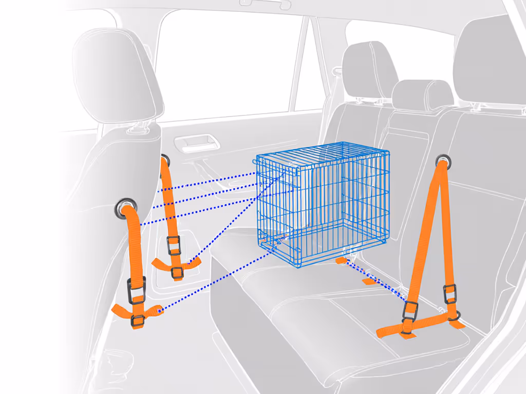 proper_dog_crate_anchoring_diagram_showing_connection_points_to_vehicle_latch_anchors