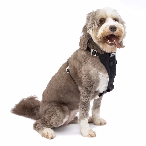 Kurgo Enhanced Strength Tru-Fit Dog Car Harness