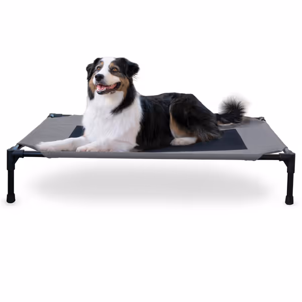 K&H Outdoor Elevated Dog Cot