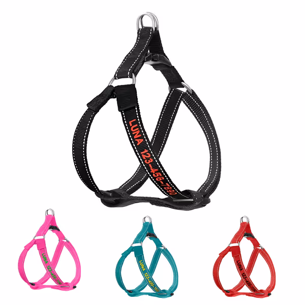 Personalized No-Pull Dog Harness